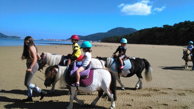  Ponys am Strand 