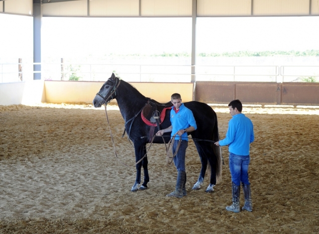  Cours d'équitation 