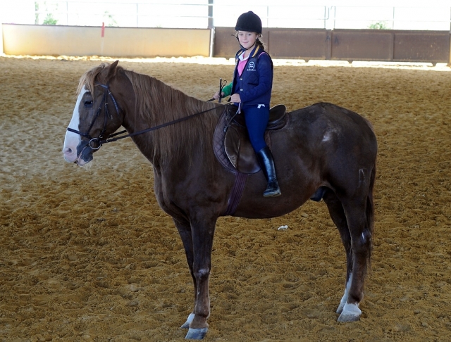 Aprende a montar a caballo