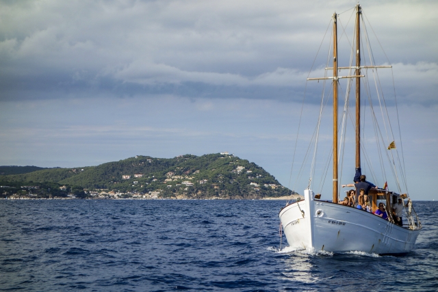  Desfrute de um dia em um veleiro