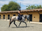 Bonus 10 lezioni di equitazione a Cornellà del Terri