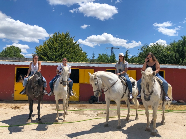  Reiten 