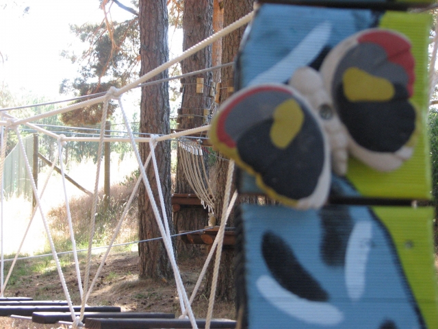 Gymkhana de aventuras