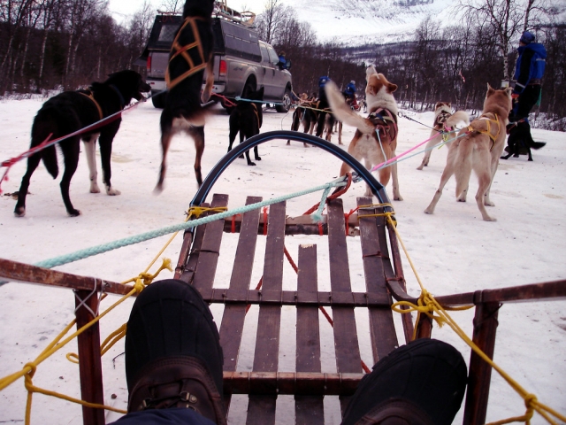  Moment avant l'aventure du mushing