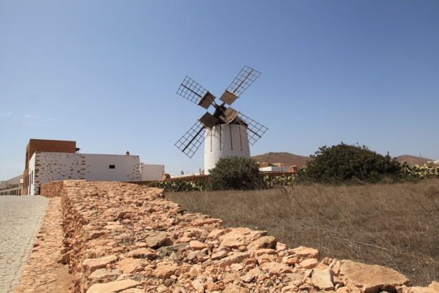  Tiscamanita