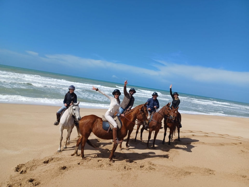  Profiter de la plage à cheval 