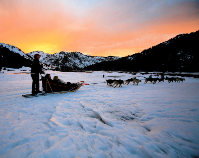  Couchers de soleil à Montgarri pratiquant le mushing 