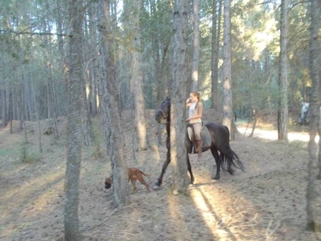  Équitation 