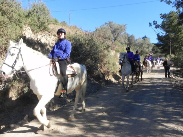  Cheval blanc au début du parcours 