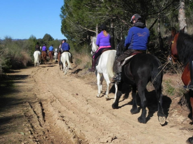  Chevaux défilant sur le parcours 