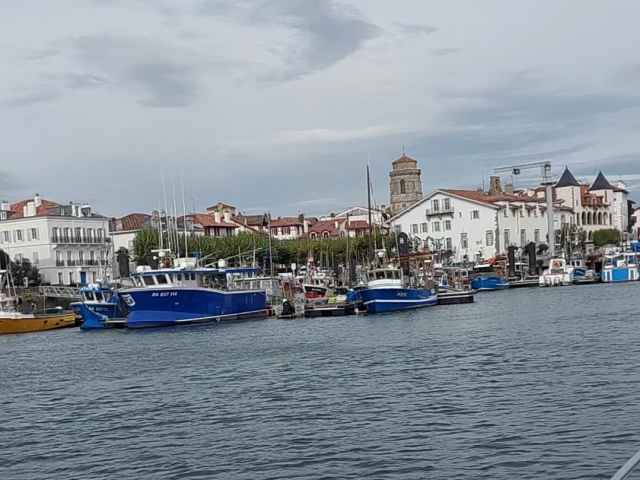  San Juan Luz 