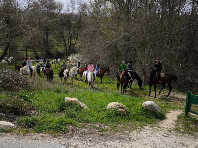 Passeggiata a cavallo nei campi di Segovia 