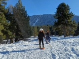 Ruta avanzada con raquetas en La Cerdanya, 4 horas