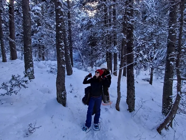 Con raquetas por el bosque
