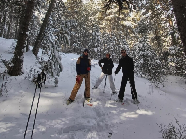 Raquetas de nieve con amigos
