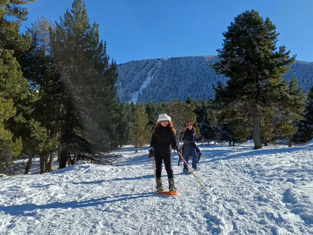 Ruta avanzada con raquetas en La Cerdanya, 4 horas