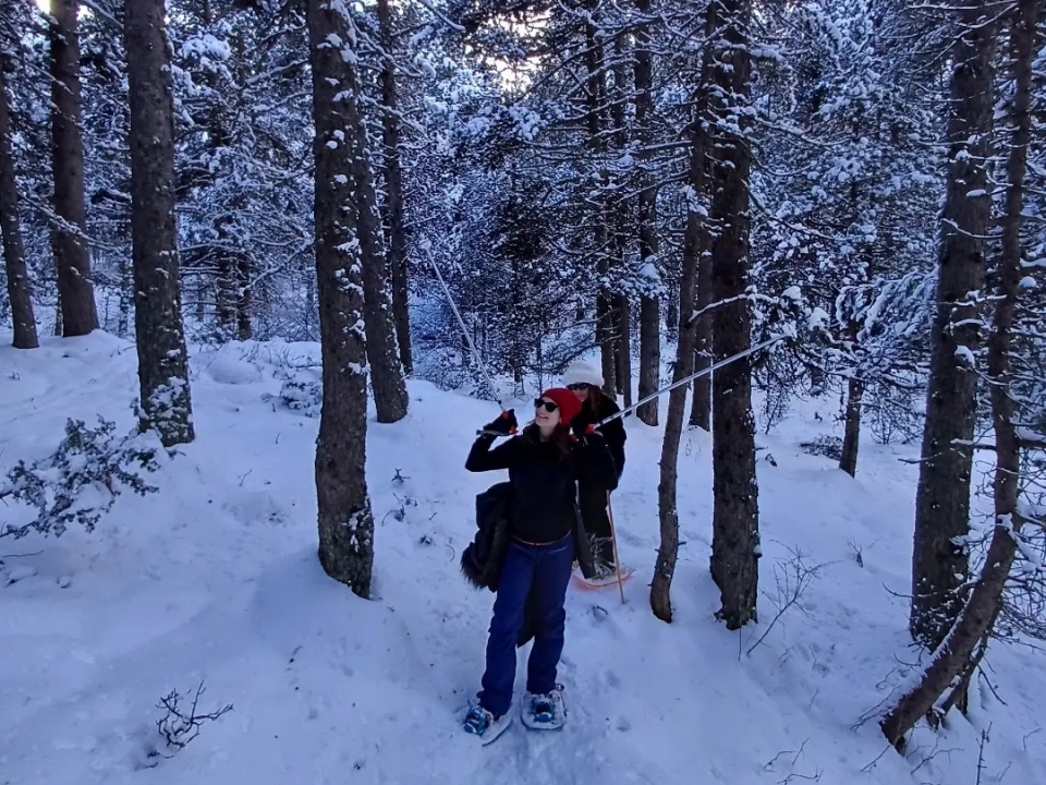Con raquetas por el bosque