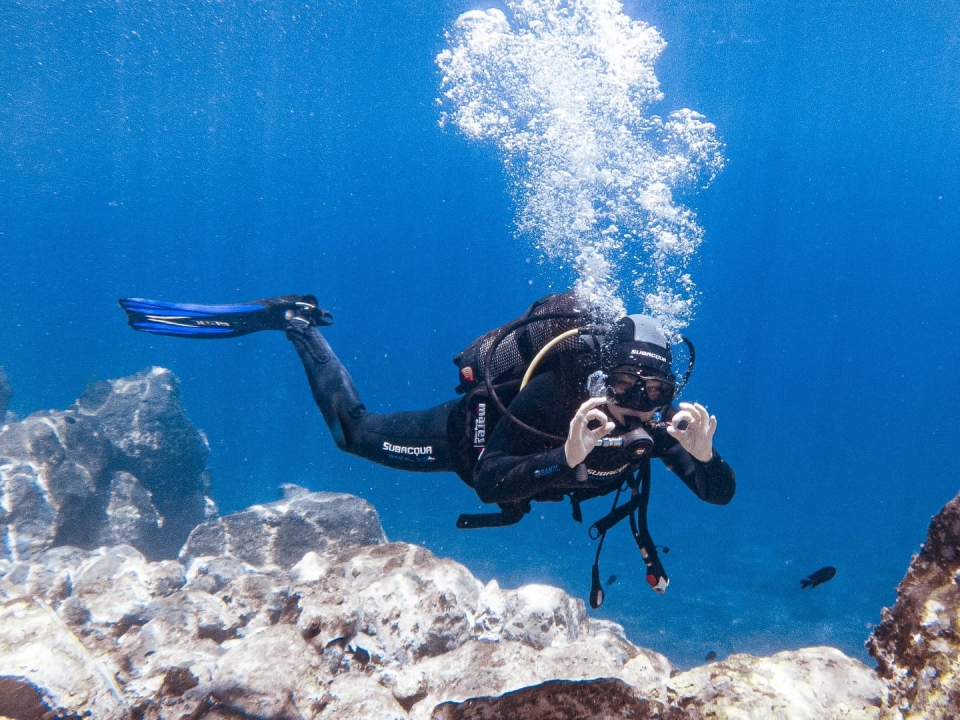 mergulho em tenerife mergulho em tenerife