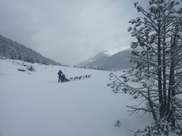 Tour de mushing por el entorno de Grau Roig