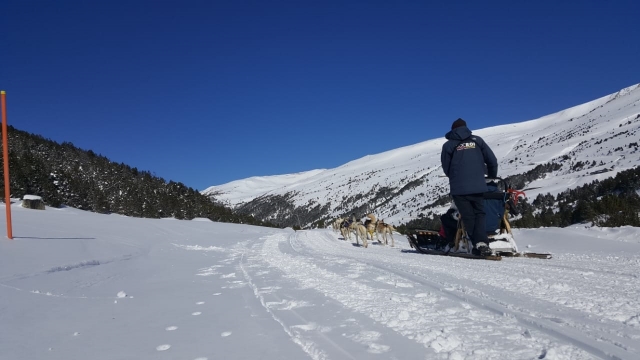 Trineo de perros Grandvalira