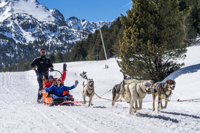 Mushing en Grau Roig