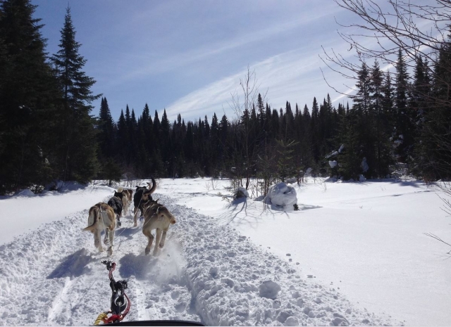 Mushing in Andorra 