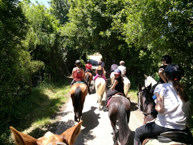  Horseback riding route Cantabria Natural Park 