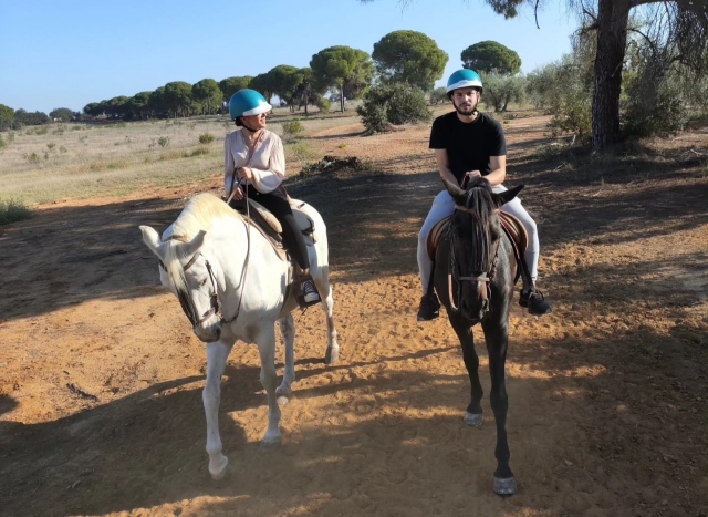 Nehmen Sie die Zügel eines Pferdes durch Doñana 