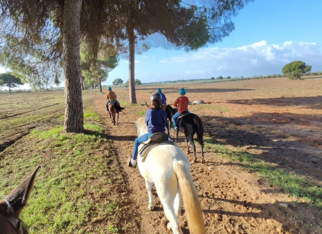  Erkunden Sie die Landschaft von Doñana zu Pferd 