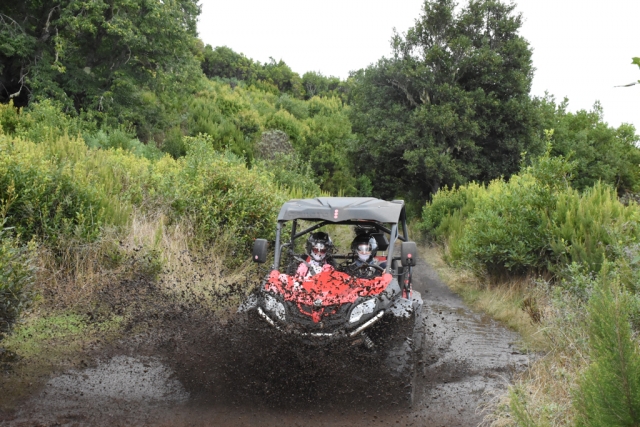  Buggy through La Palma 