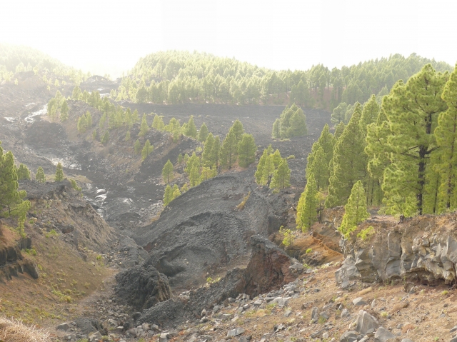  Views of La Palma 