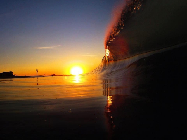  Learn surfing with the best 
