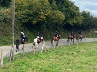 Horseback riding route in the Pola de Siero area 1h