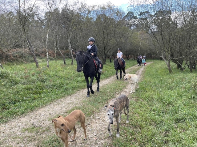 Reiten durch die Natur 