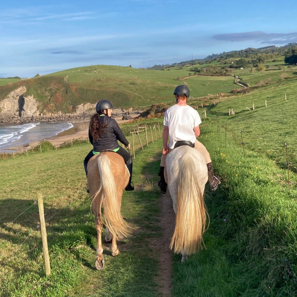  Treffen Sie unsere Pferde in Asturien 