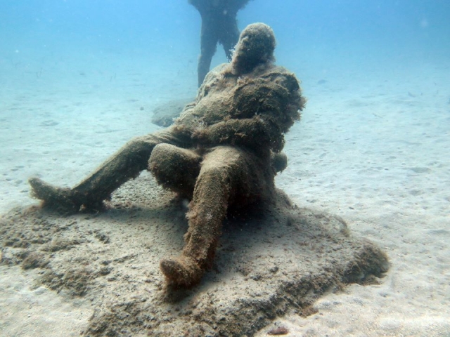  découvertes marines incroyables 