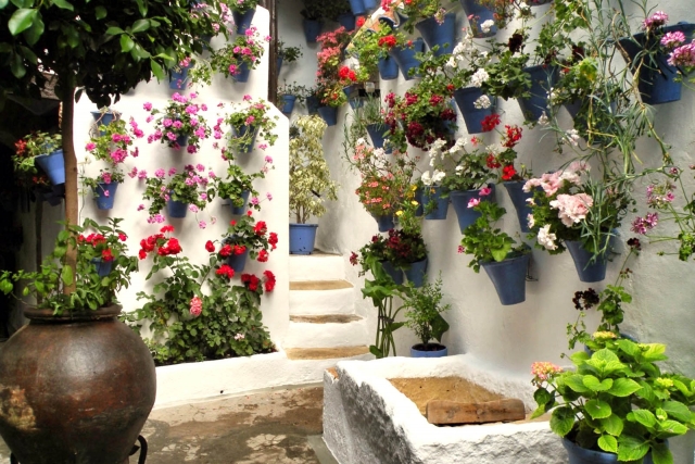 Interior de patio en Córdoba
