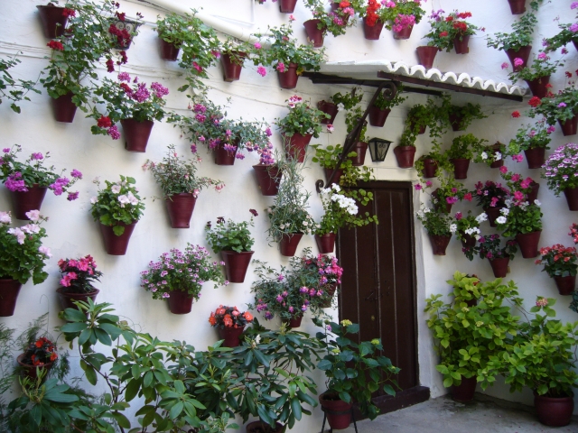 Patio cordobés