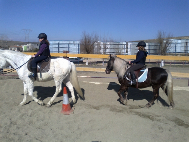  cours 