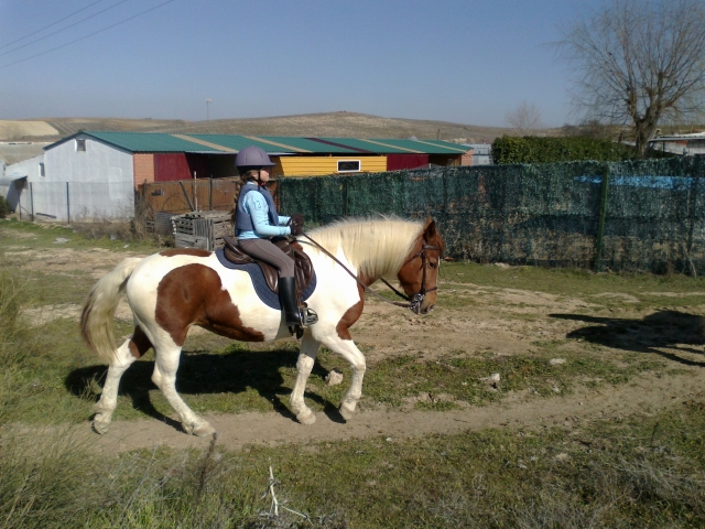 étudiant en équitation 
