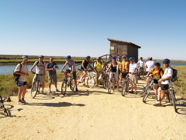 Grupo de bicicletas