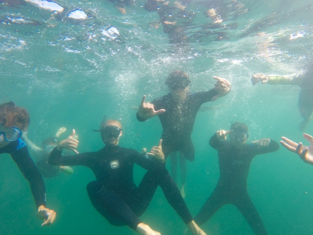  Snorkeling entre amis 