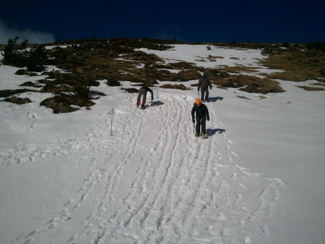  Halber Tag mit Schneeschuhen 