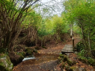 带着栗子 amagüestu + 甜苹果酒徒步旅行