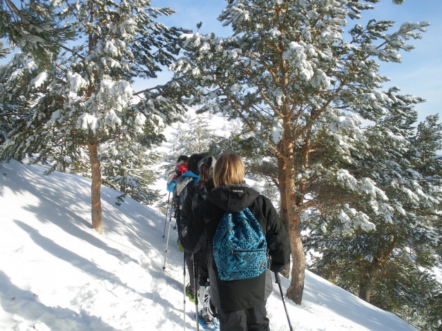 Schneeschuhwanderung durch die verschneiten Wälder von Lleida 