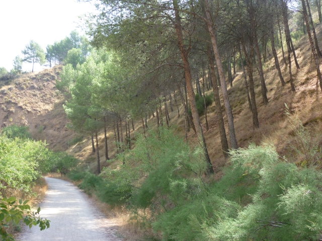  Los Cerros 