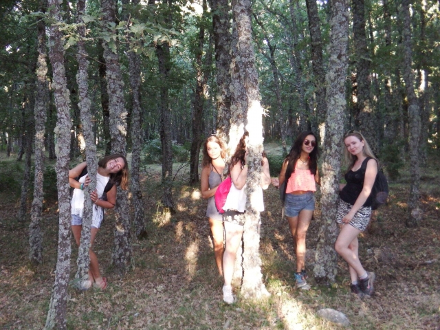  In the forest during the hiking route 