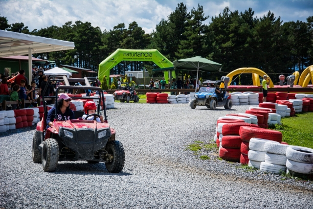  Buggies circuit 