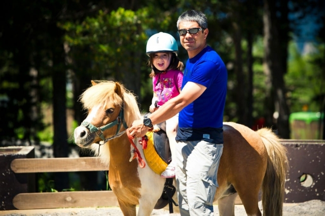  Pony ride 