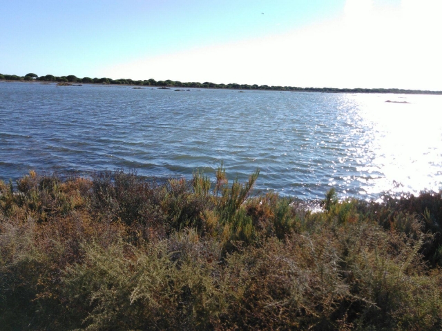 Ruta de las Marismas en Huelva 